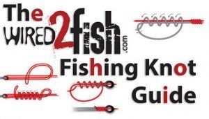 The Best Resources for Fishing Knots 